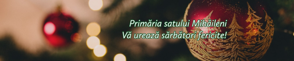 Satul Mihăileni, raionul Rîșcani